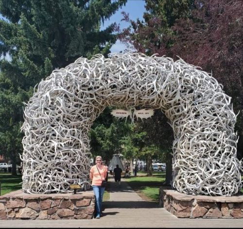 Glacier, Yellowstone & Grand Tetons